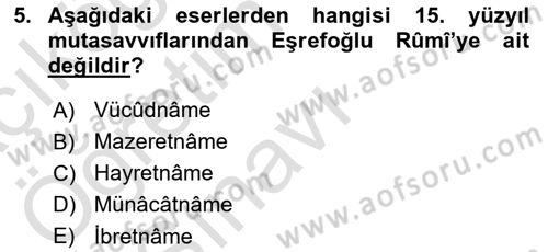 Türk Halk Şiiri Dersi 2020 - 2021 Yılı Yaz Okulu Sınav Soruları 5. Soru