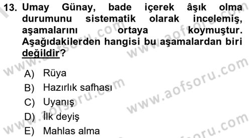 Türk Halk Şiiri Dersi 2021 - 2022 Yılı (Final) Dönem Sonu Sınav Soruları 13. Soru