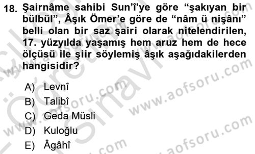 Türk Halk Şiiri Dersi 2021 - 2022 Yılı Yaz Okulu Sınavı 18. Soru