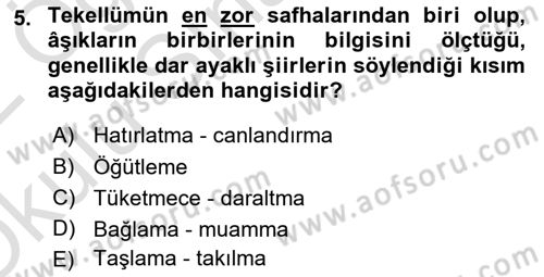 Türk Halk Şiiri Dersi 2021 - 2022 Yılı Yaz Okulu Sınavı 5. Soru