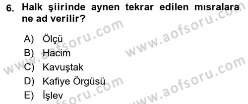 Türk Halk Şiiri Dersi 2021 - 2022 Yılı Yaz Okulu Sınavı 6. Soru