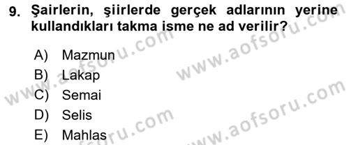 Türk Halk Şiiri Dersi 2021 - 2022 Yılı Yaz Okulu Sınavı 9. Soru