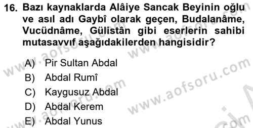 Türk Halk Şiiri Dersi 2022 - 2023 Yılı Yaz Okulu Sınav Soruları 16. Soru