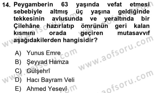 Türk Halk Şiiri Dersi 2023 - 2024 Yılı Yaz Okulu Sınav Soruları 14. Soru