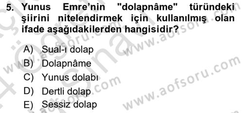 Türk Halk Şiiri Dersi 2023 - 2024 Yılı Yaz Okulu Sınav Soruları 5. Soru