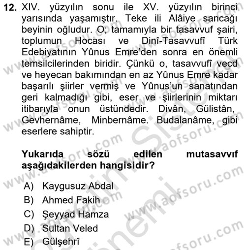 Türk Halk Şiiri Dersi 2024 - 2025 Yılı (Vize) Ara Sınav Soruları 12. Soru