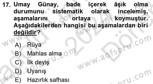 Türk Halk Şiiri Dersi 2024 - 2025 Yılı (Final) Dönem Sonu Sınav Soruları 17. Soru