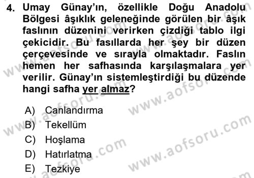 Türk Halk Şiiri Dersi 2024 - 2025 Yılı (Final) Dönem Sonu Sınav Soruları 4. Soru
