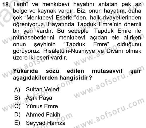 Türk Halk Şiiri Dersi 2024 - 2025 Yılı Yaz Okulu Sınav Soruları 18. Soru
