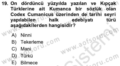 Türk Halk Şiiri Dersi 2024 - 2025 Yılı Yaz Okulu Sınav Soruları 19. Soru