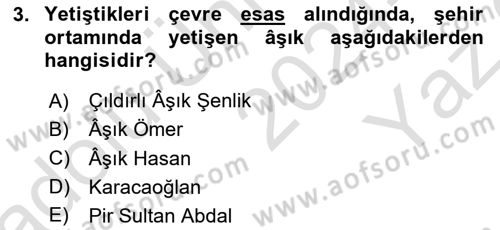 Türk Halk Şiiri Dersi 2024 - 2025 Yılı Yaz Okulu Sınav Soruları 3. Soru