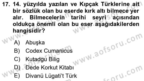 Türk Halk Şiiri Dersi 2025 - 2026 Yılı (Vize) Ara Sınav Soruları 17. Soru