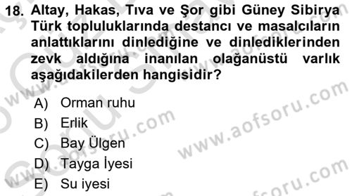 Türk Halk Şiiri Dersi 2025 - 2026 Yılı (Final) Dönem Sonu Sınav Soruları 18. Soru