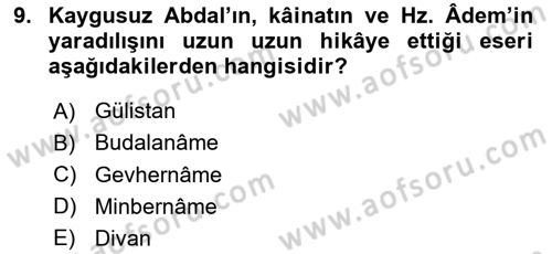 Türk Halk Şiiri Dersi 2025 - 2026 Yılı (Final) Dönem Sonu Sınav Soruları 9. Soru