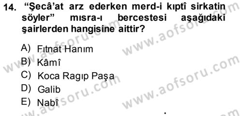 XVIII. Yüzyıl Türk Edebiyatı Dersi 2013 - 2014 Yılı Tek Ders Sınav Soruları 14. Soru