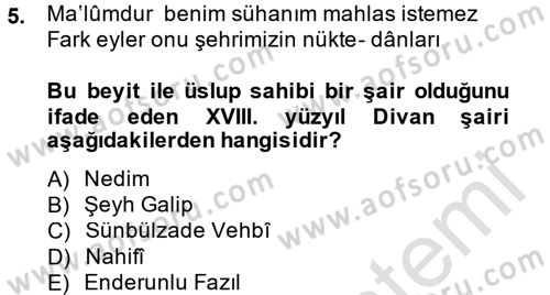 XVIII. Yüzyıl Türk Edebiyatı Dersi 2013 - 2014 Yılı Tek Ders Sınav Soruları 5. Soru