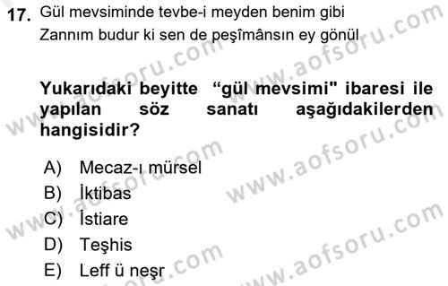 XVIII. Yüzyıl Türk Edebiyatı Dersi 2018 - 2019 Yılı (Vize) Ara Sınav Soruları 17. Soru
