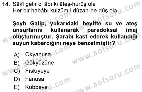 XVIII. Yüzyıl Türk Edebiyatı Dersi 2018 - 2019 Yılı Yaz Okulu Sınav Soruları 14. Soru