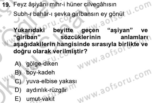 XVIII. Yüzyıl Türk Edebiyatı Dersi 2018 - 2019 Yılı Yaz Okulu Sınav Soruları 19. Soru