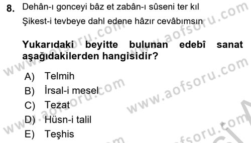 XVIII. Yüzyıl Türk Edebiyatı Dersi 2018 - 2019 Yılı Yaz Okulu Sınav Soruları 8. Soru