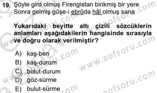 XVIII. Yüzyıl Türk Edebiyatı Dersi 2019 - 2020 Yılı (Vize) Ara Sınav Soruları 19. Soru