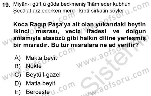 XVIII. Yüzyıl Türk Edebiyatı Dersi 2023 - 2024 Yılı Yaz Okulu Sınav Soruları 19. Soru