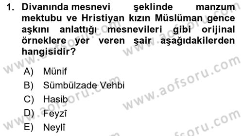 XVIII. Yüzyıl Türk Edebiyatı Dersi 2024 - 2025 Yılı (Vize) Ara Sınav Soruları 1. Soru