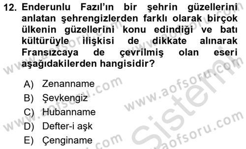 XVIII. Yüzyıl Türk Edebiyatı Dersi 2024 - 2025 Yılı (Vize) Ara Sınav Soruları 12. Soru