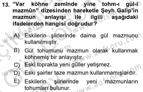 XVIII. Yüzyıl Türk Edebiyatı Dersi 2024 - 2025 Yılı (Vize) Ara Sınav Soruları 13. Soru