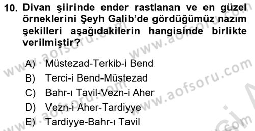 XVIII. Yüzyıl Türk Edebiyatı Dersi 2024 - 2025 Yılı (Final) Dönem Sonu Sınav Soruları 10. Soru