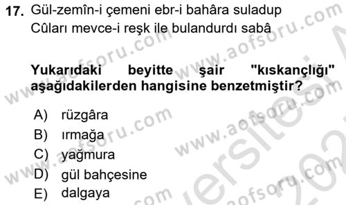XVIII. Yüzyıl Türk Edebiyatı Dersi 2024 - 2025 Yılı (Final) Dönem Sonu Sınav Soruları 17. Soru