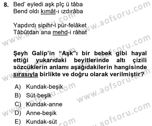 XVIII. Yüzyıl Türk Edebiyatı Dersi 2024 - 2025 Yılı (Final) Dönem Sonu Sınav Soruları 8. Soru