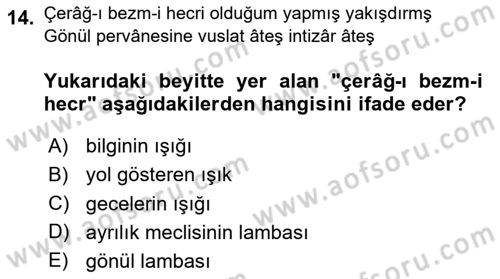 XVIII. Yüzyıl Türk Edebiyatı Dersi 2024 - 2025 Yılı Yaz Okulu Sınav Soruları 14. Soru