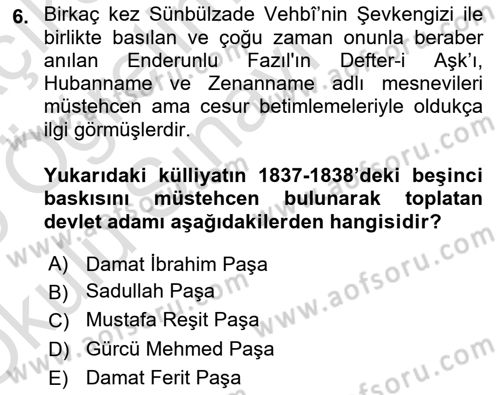 XVIII. Yüzyıl Türk Edebiyatı Dersi 2024 - 2025 Yılı Yaz Okulu Sınav Soruları 6. Soru