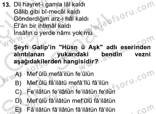 XVIII. Yüzyıl Türk Edebiyatı Dersi 2025 - 2026 Yılı (Final) Dönem Sonu Sınav Soruları 13. Soru