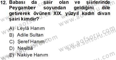 XIX. Yüzyıl Türk Edebiyatı Dersi 2013 - 2014 Yılı Tek Ders Sınav Soruları 12. Soru