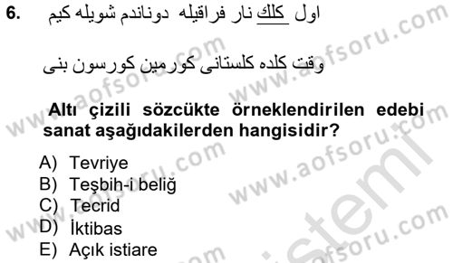 XIX. Yüzyıl Türk Edebiyatı Dersi 2014 - 2015 Yılı Tek Ders Sınavı 6. Soru