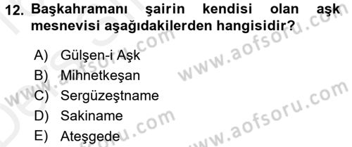 XIX. Yüzyıl Türk Edebiyatı Dersi 2015 - 2016 Yılı Tek Ders Sınavı 12. Soru