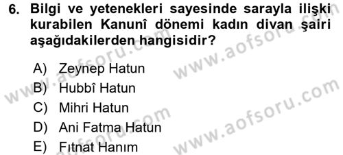 XIX. Yüzyıl Türk Edebiyatı Dersi 2015 - 2016 Yılı Tek Ders Sınavı 6. Soru