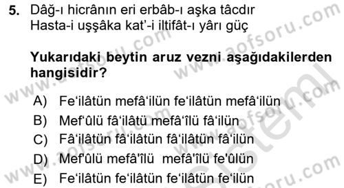 XIX. Yüzyıl Türk Edebiyatı Dersi 2016 - 2017 Yılı (Final) Dönem Sonu Sınavı 5. Soru