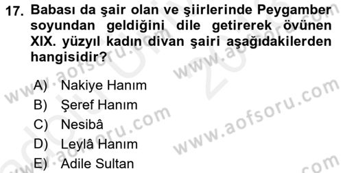 XIX. Yüzyıl Türk Edebiyatı Dersi 2017 - 2018 Yılı 3 Ders Sınav Soruları 17. Soru
