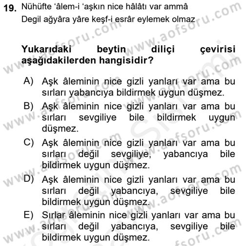 XIX. Yüzyıl Türk Edebiyatı Dersi 2017 - 2018 Yılı 3 Ders Sınav Soruları 19. Soru
