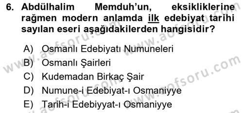 XIX. Yüzyıl Türk Edebiyatı Dersi 2017 - 2018 Yılı 3 Ders Sınav Soruları 6. Soru