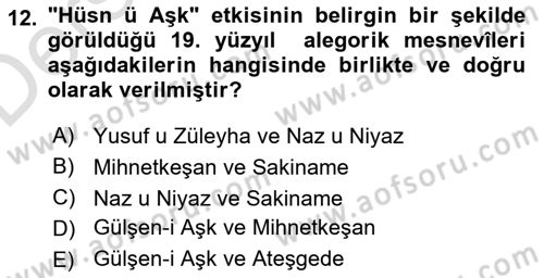 XIX. Yüzyıl Türk Edebiyatı Dersi 2018 - 2019 Yılı 3 Ders Sınav Soruları 12. Soru