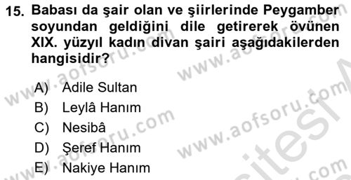 XIX. Yüzyıl Türk Edebiyatı Dersi 2018 - 2019 Yılı 3 Ders Sınav Soruları 15. Soru