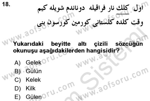 XIX. Yüzyıl Türk Edebiyatı Dersi 2018 - 2019 Yılı 3 Ders Sınav Soruları 18. Soru