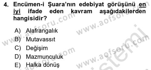 XIX. Yüzyıl Türk Edebiyatı Dersi 2018 - 2019 Yılı 3 Ders Sınav Soruları 4. Soru