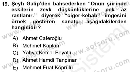 XIX. Yüzyıl Türk Edebiyatı Dersi 2018 - 2019 Yılı (Vize) Ara Sınav Soruları 19. Soru