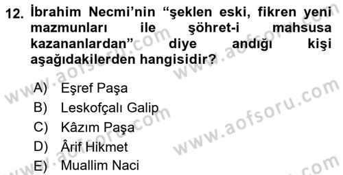 XIX. Yüzyıl Türk Edebiyatı Dersi 2018 - 2019 Yılı Yaz Okulu Sınav Soruları 12. Soru