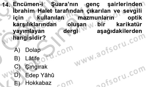 XIX. Yüzyıl Türk Edebiyatı Dersi 2018 - 2019 Yılı Yaz Okulu Sınav Soruları 14. Soru